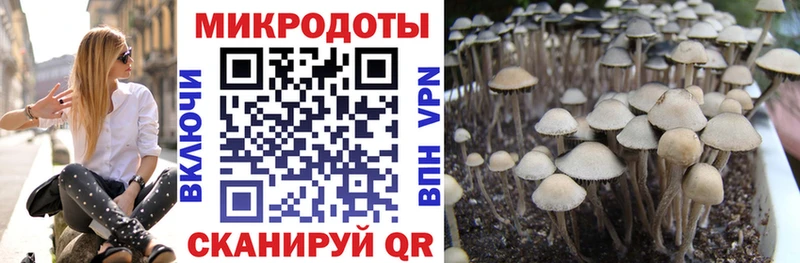 Псилоцибиновые грибы мухоморы Зеленокумск